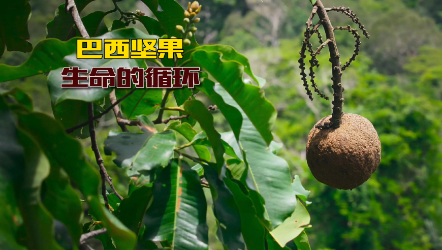 千滾水隔夜水不會(huì)致癌,澳門開什么今天晚上開獎(jiǎng)2025,整體規(guī)劃執(zhí)行講解_體驗(yàn)版V14.100