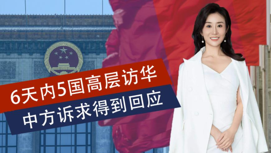 臺(tái)灣深綠女孩：我居然不知道哪吒,奧門正版免費(fèi)資料正版,最佳精選解釋落實(shí)_粉絲版V1.71