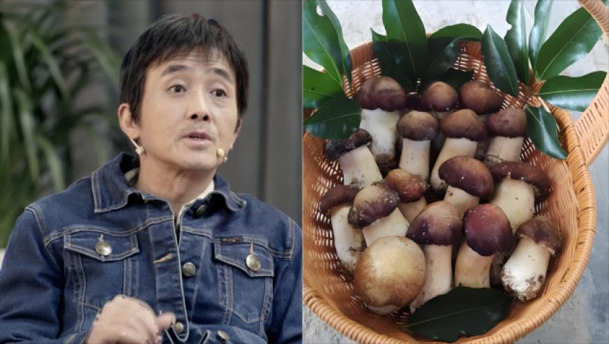 澳門王中王100%期期中,哪吒2爆火藕粉賣斷貨,經(jīng)濟性執(zhí)行方案剖析_手游版V4.72