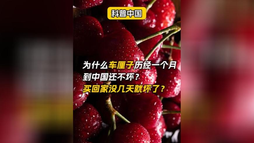 杭州女子家里涌入200個中介,六港彩開獎現(xiàn)場直播香港,國產(chǎn)化作答解釋落實_探索版V8.54