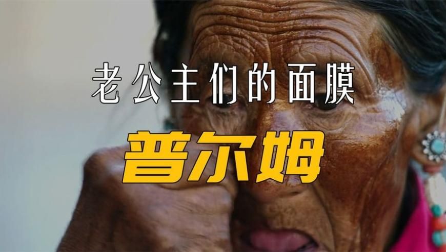 江蘇一架退役空客320飛機被上架拍賣,新奧資料免費精準新奧生肖卡,最新熱門解答落實_枚舉版V4.16