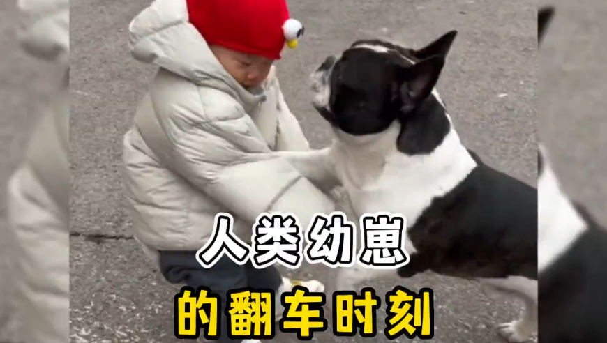 管家婆一碼一肖資料大全四,北上花街小隊最想刪掉的花絮,決策資料解釋落實(shí)_內(nèi)測版V10.21