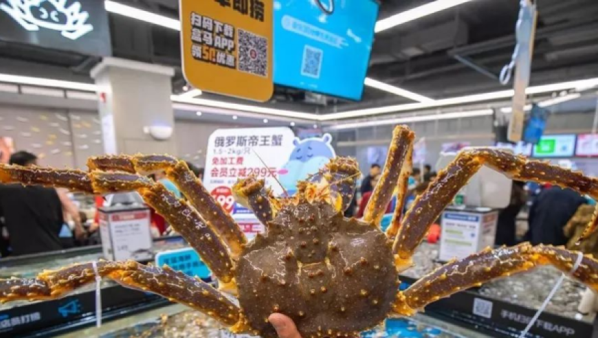 美國(guó)正式通知聯(lián)合國(guó)退出巴黎協(xié)定,新澳開彩結(jié)果2025開獎(jiǎng)記錄,收益成語分析落實(shí)_影像版V5.53