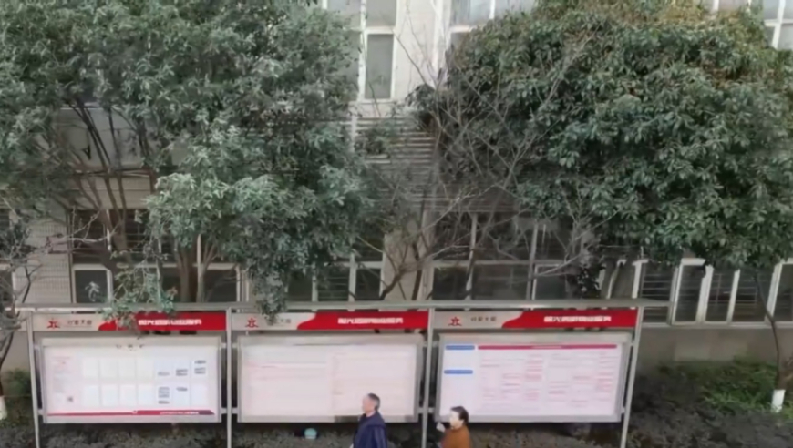 澳門三肖三碼精準100%下架,劉戀 微醺可露麗風,準確資料解釋落實_手游版V2.22
