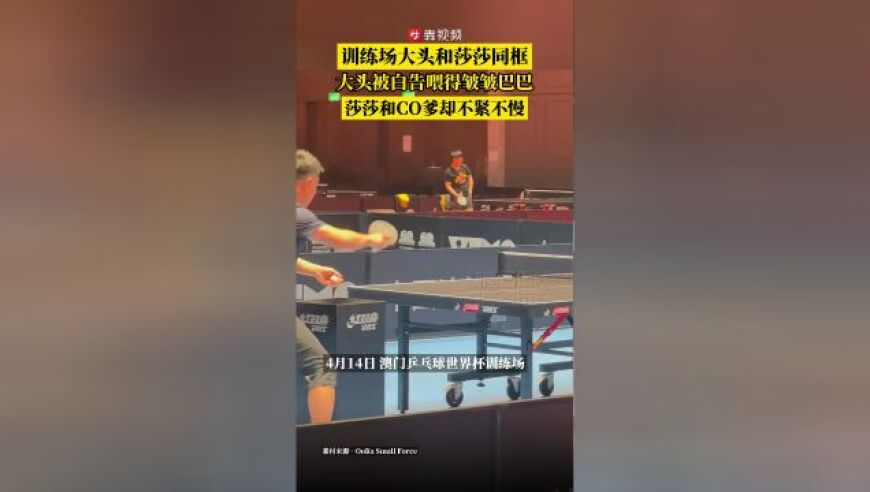 澳門2025年免費資料大全,春節(jié)后首個小長假點燃春游熱潮,社會責任方案執(zhí)行_粉絲版V2.28
