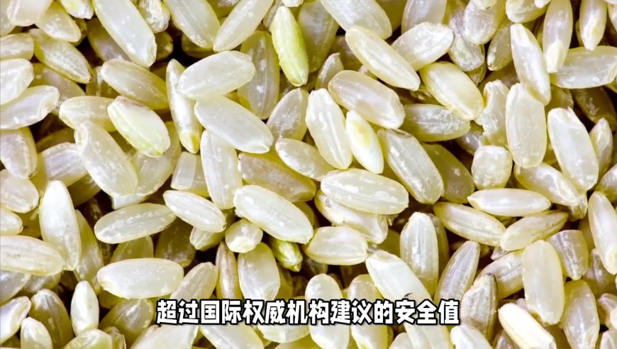 十八年終于等來一個強(qiáng)吻,管家婆一肖一碼100%中0,典故解疑_GM版V6.87