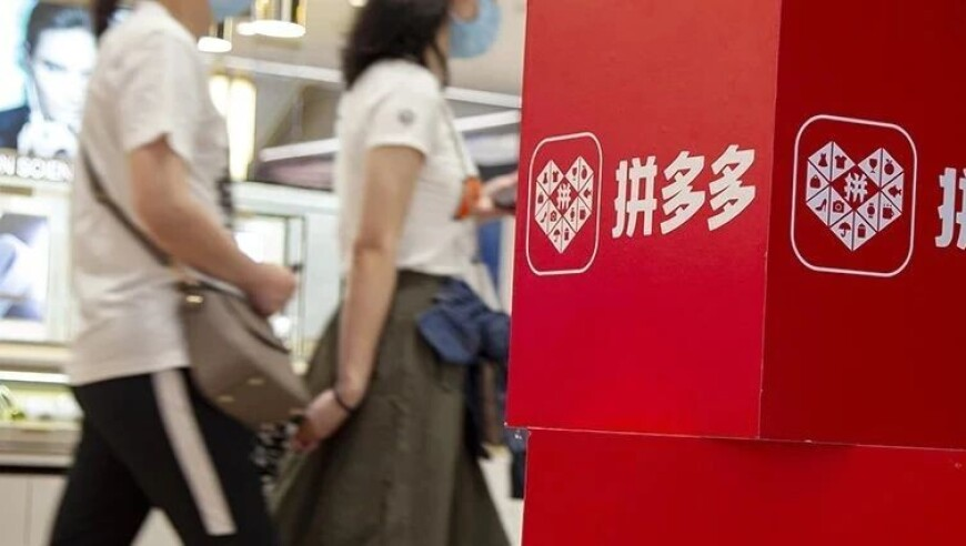 抓到一只班味特濃的貓貓,管家婆二肖二碼精選期期準(zhǔn),創(chuàng)新典義解讀_至尊版V6.55