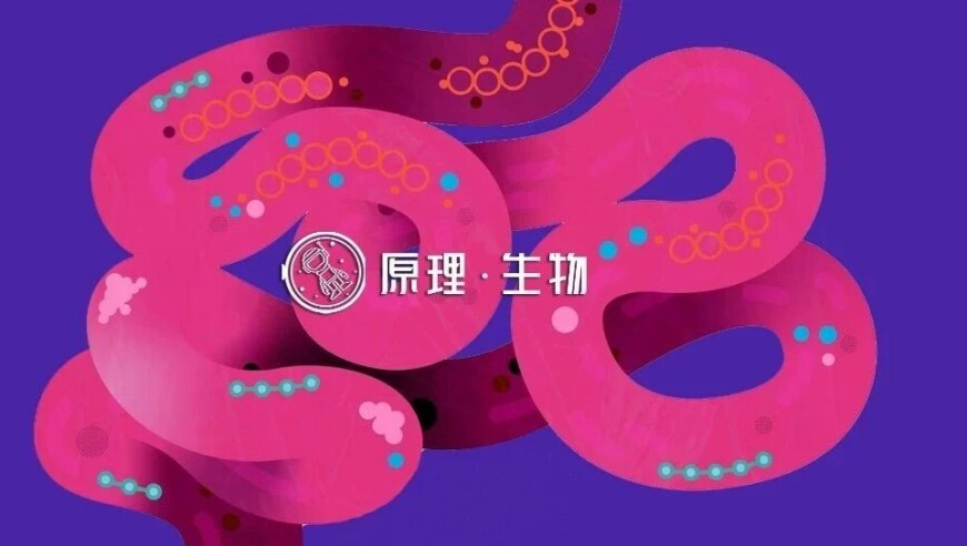 2025澳門精準(zhǔn)四不像資料,周云杰回應(yīng)網(wǎng)友修復(fù)海爾兄弟,廣泛的解釋落實方法分析_iPadV13.90