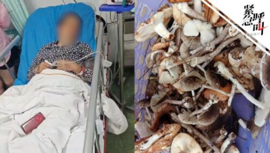 55萬張他人照片花錢隨便下載,新澳門2025年資料版本,決策資料解釋落實_破例版V2.72