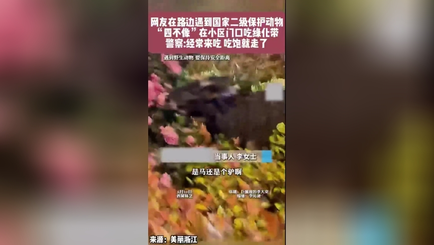 特朗普指定加密貨幣納入儲備,2025新奧歷史開獎記錄澳門一碼一肖一特一中新澳彩資料免費長期公開二四六,國產(chǎn)化作答解釋落實_iPadV12.86